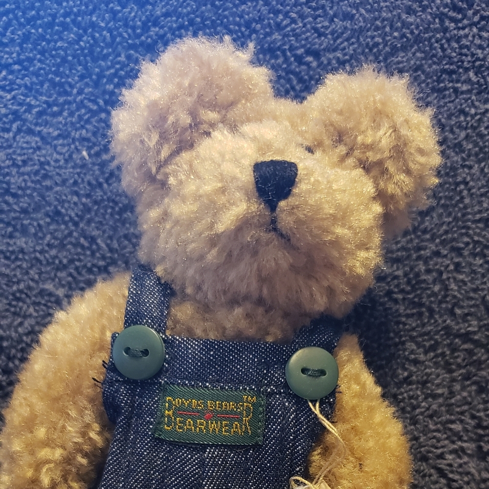 Boyd's bear
